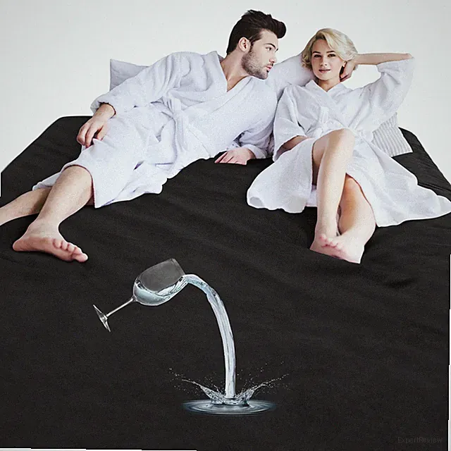 Waterproof Blanket for Couples – Ultra-Soft, Stain-Resistant Throw for Bed, C...
